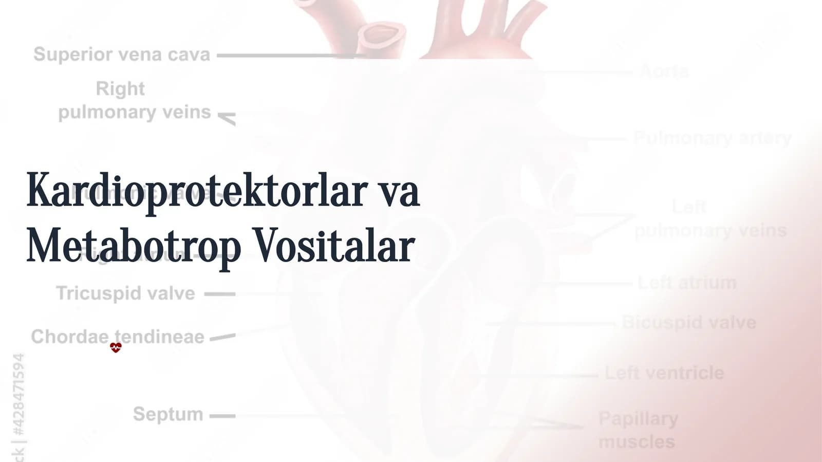 Metabotrop Vositalar