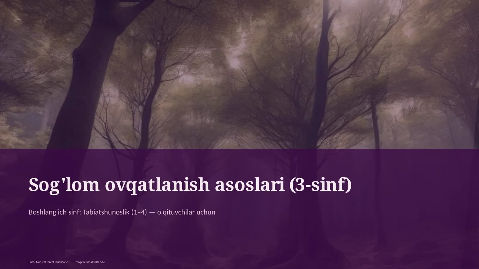 Sog'lom ovqatlanish asoslari (3-sinf)