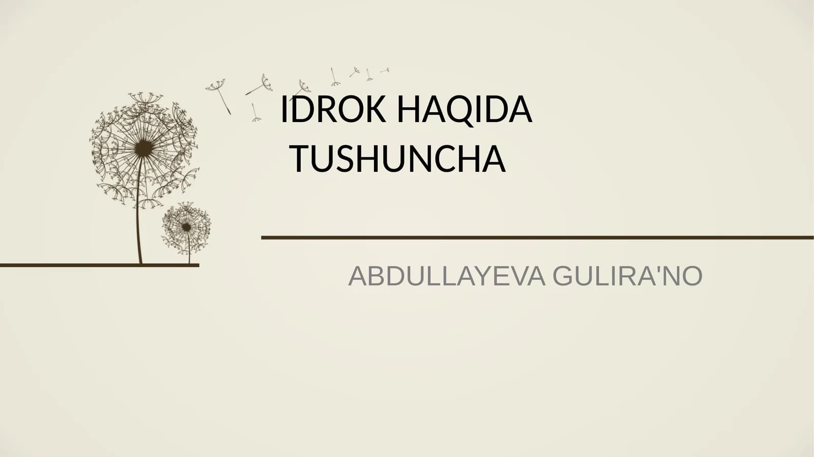 ABDULLAYEVAGULIRA'NO
