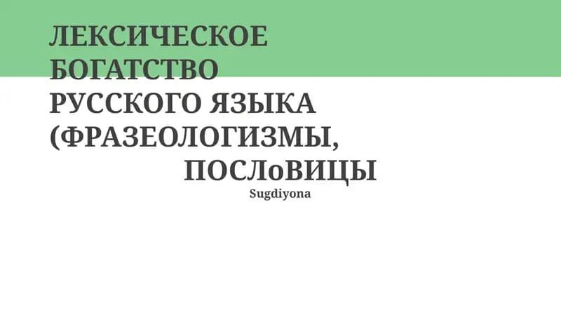 Лексическое богатство русского языка (Фразеологизмы, Пословицы)