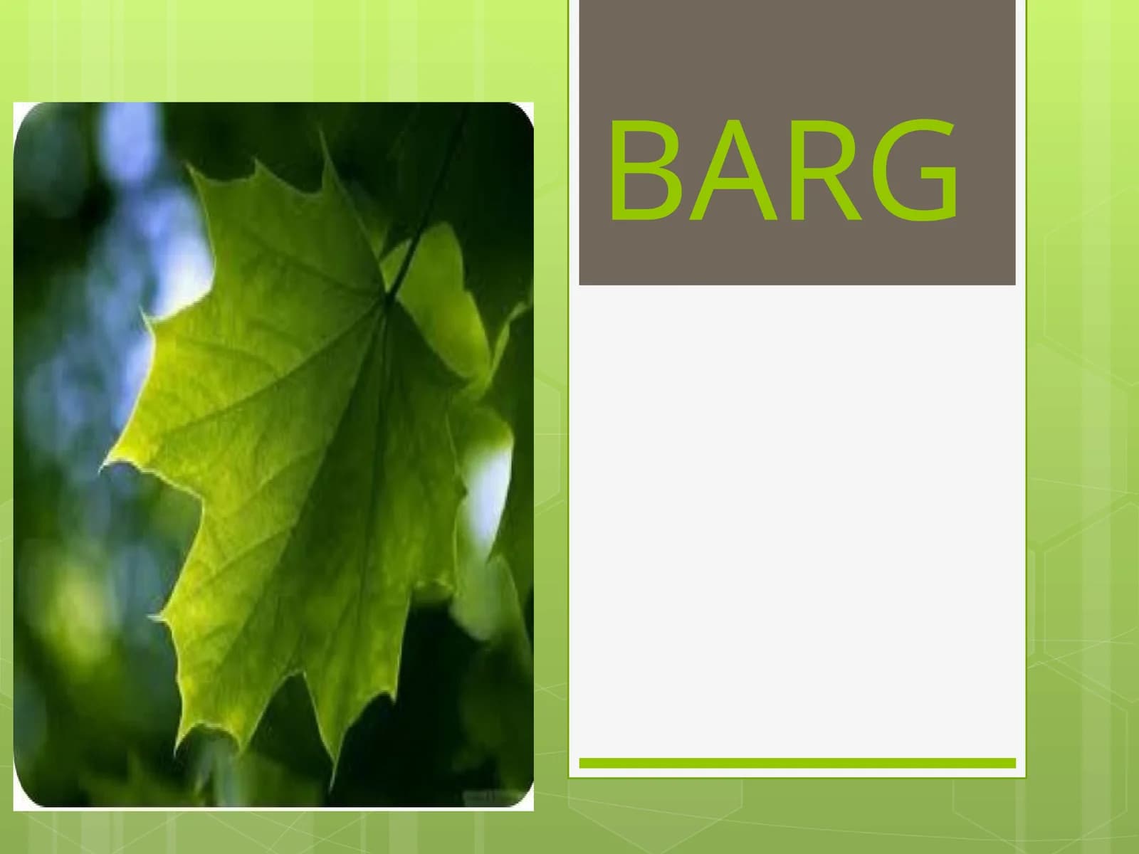 BARG