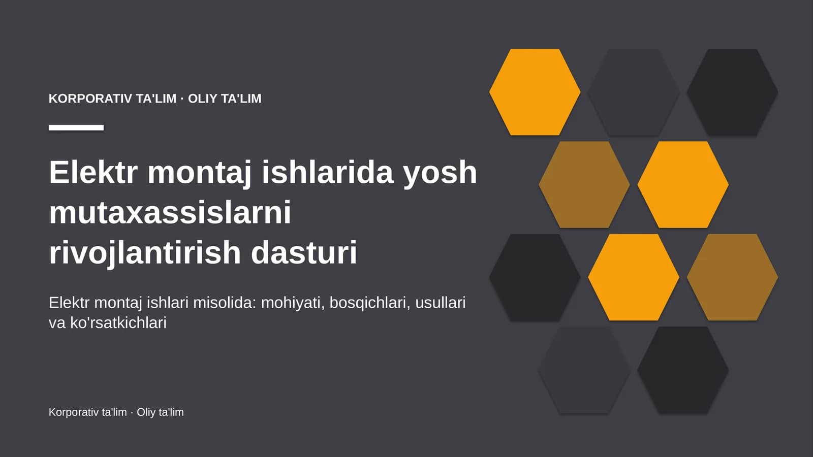Elektr montaj ishlarida yosh mutaxassislarni rivojlantirish dasturi