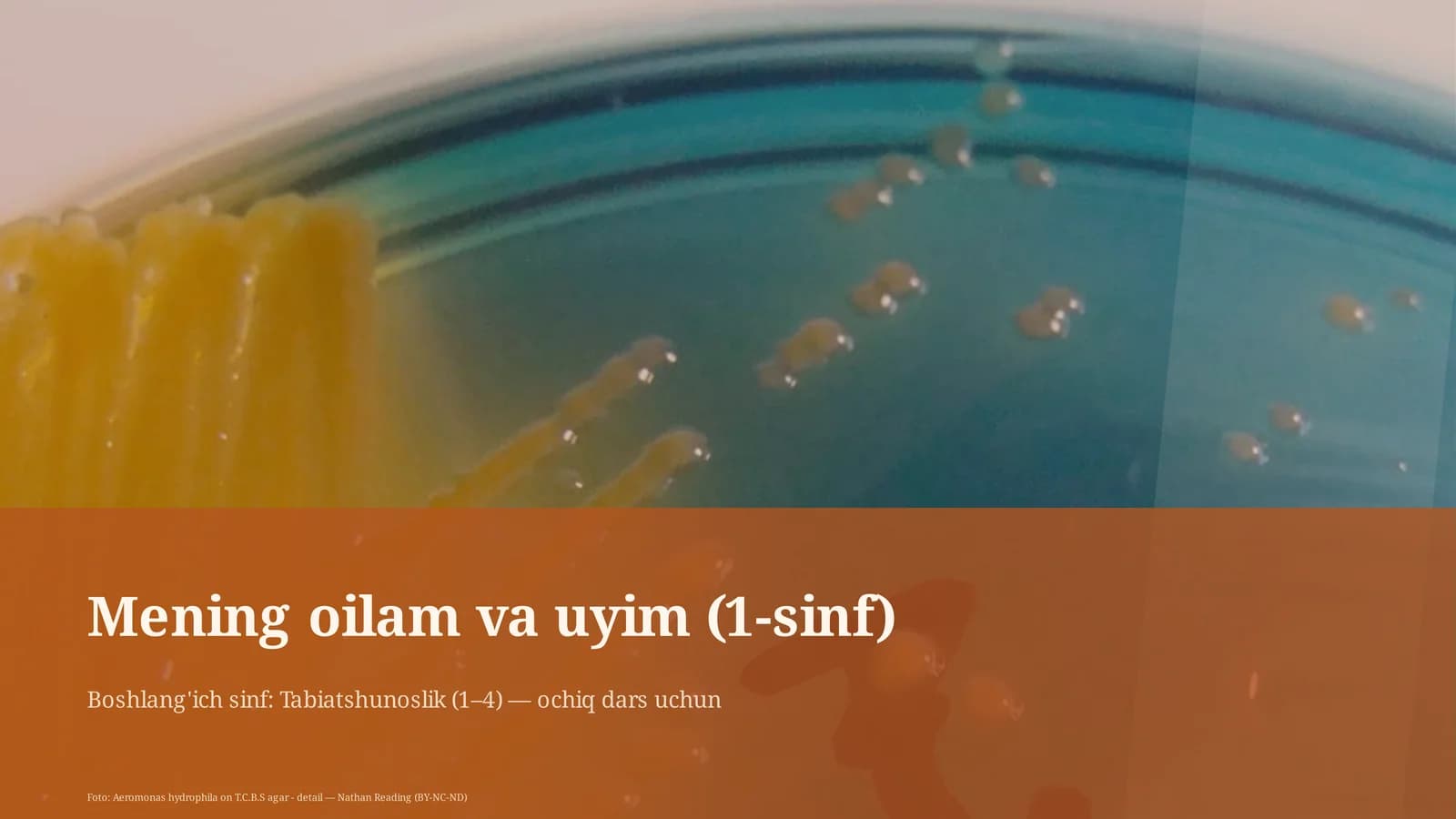 Mening oilam va uyim (1-sinf)