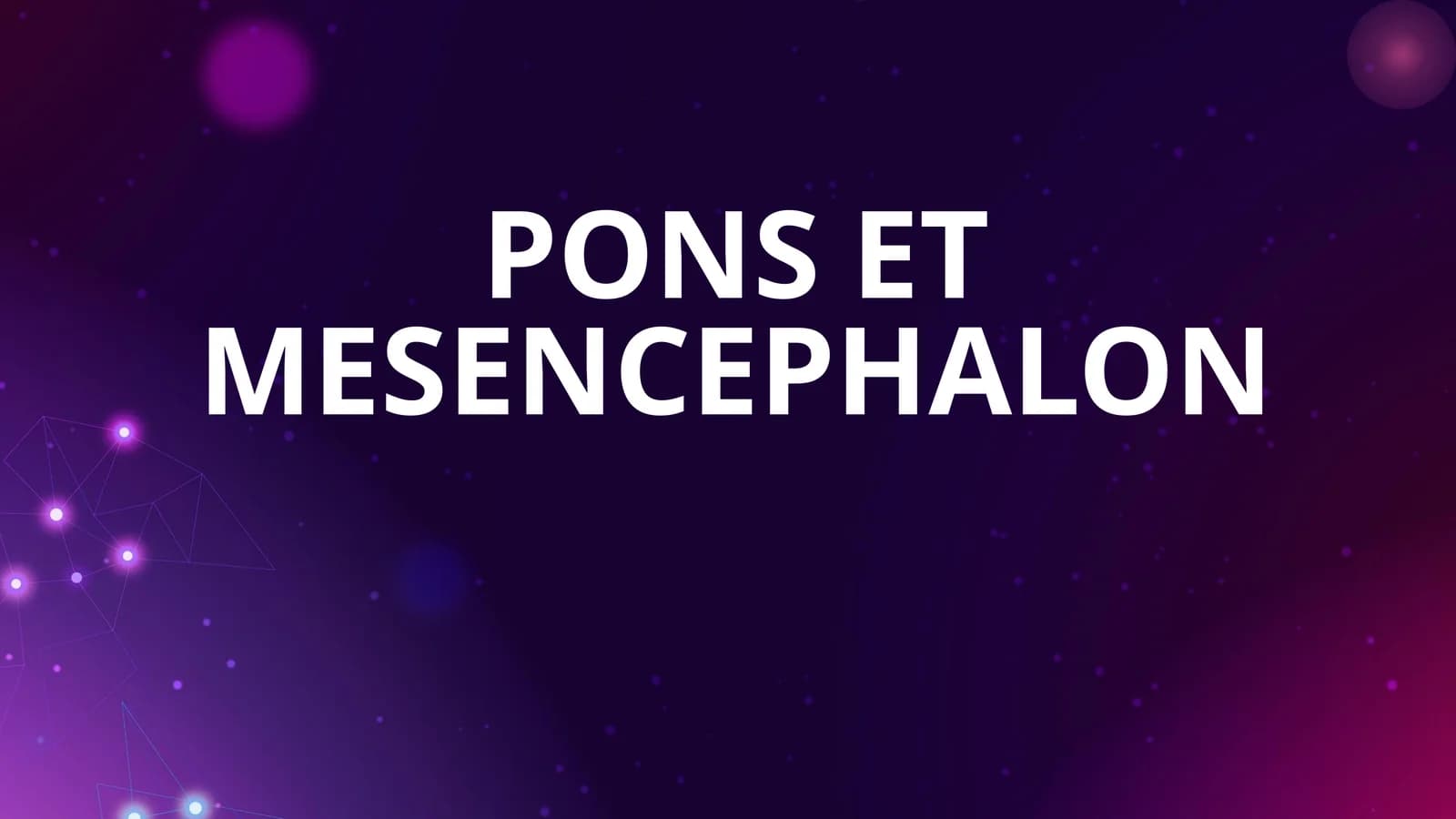 PONS ET MESENCEPHALON