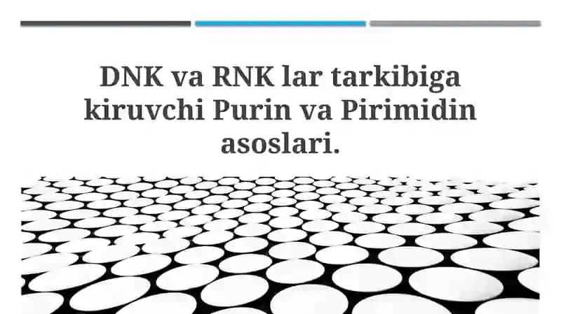 DNK va RNK lari tarkibiga kiruvchi Purin va Pirimidin asoslari