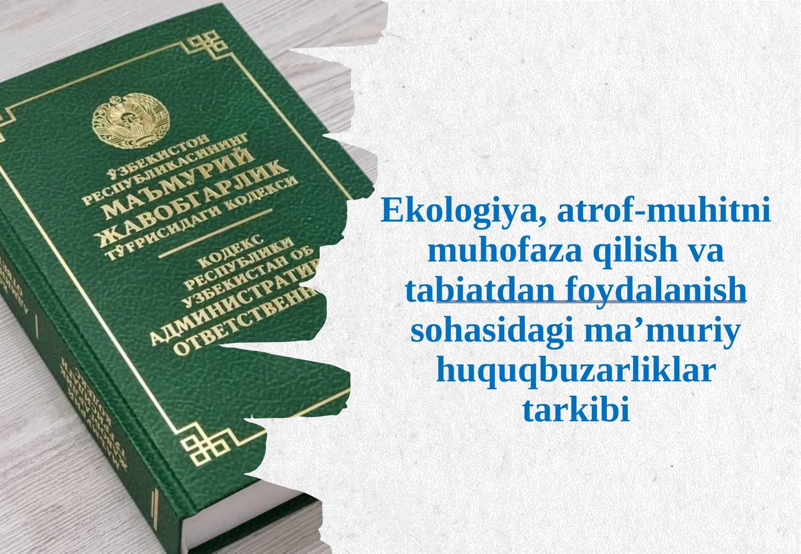 Ekologiya, atrof-muhitni muhofaza qilish va tabiatdan foydalanish sohasidagi ma’m