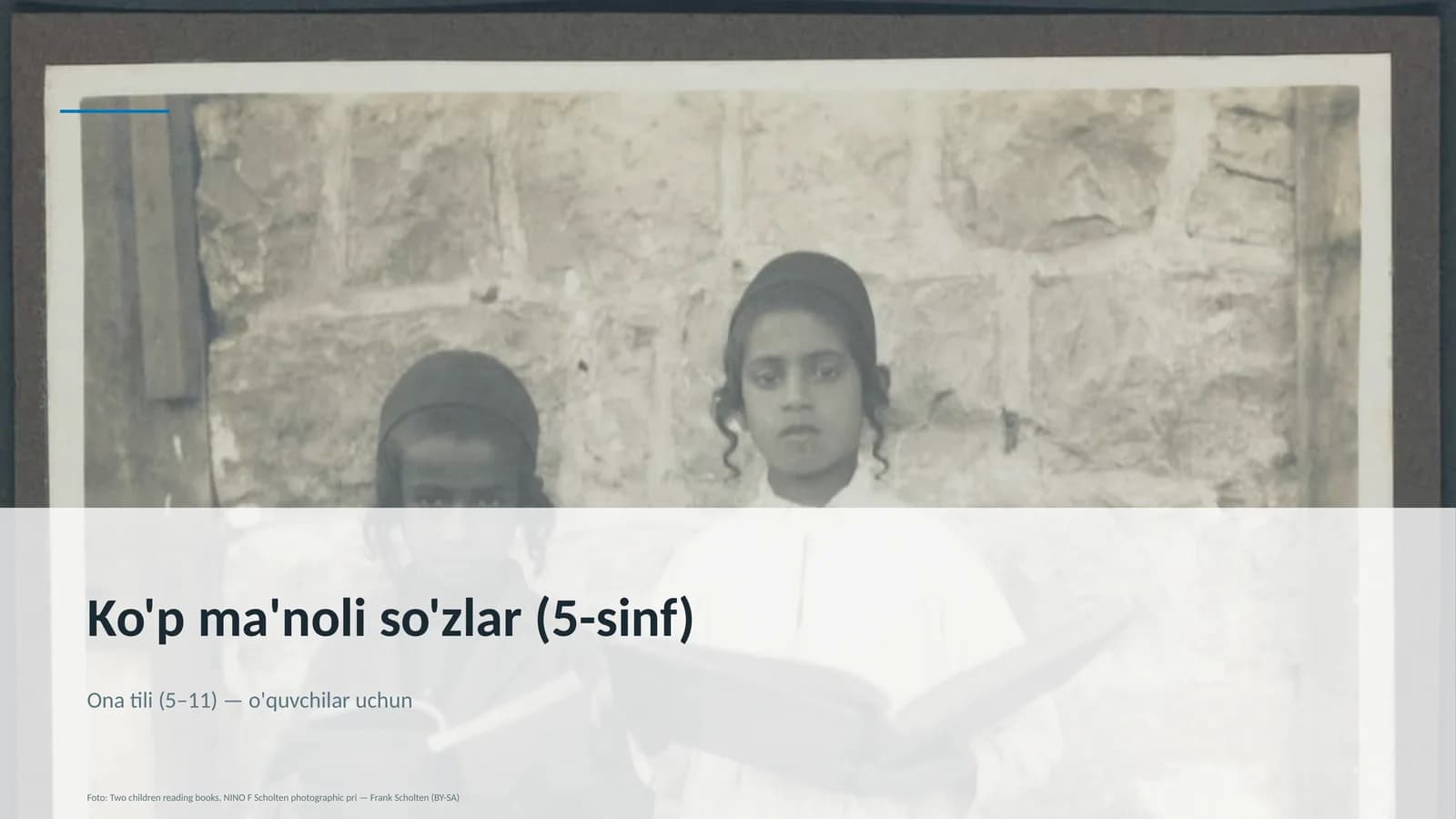 Ko'p ma'noli so'zlar (5-sinf)