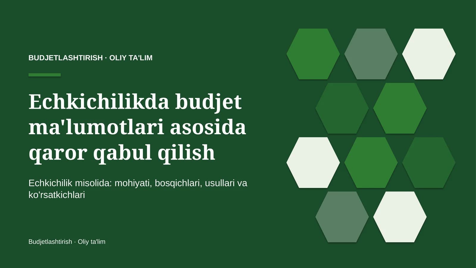 Echkichilikda budjet ma'lumotlari asosida qaror qabul qilish