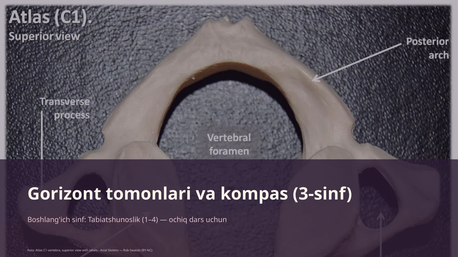 Gorizont tomonlari va kompas (3-sinf)