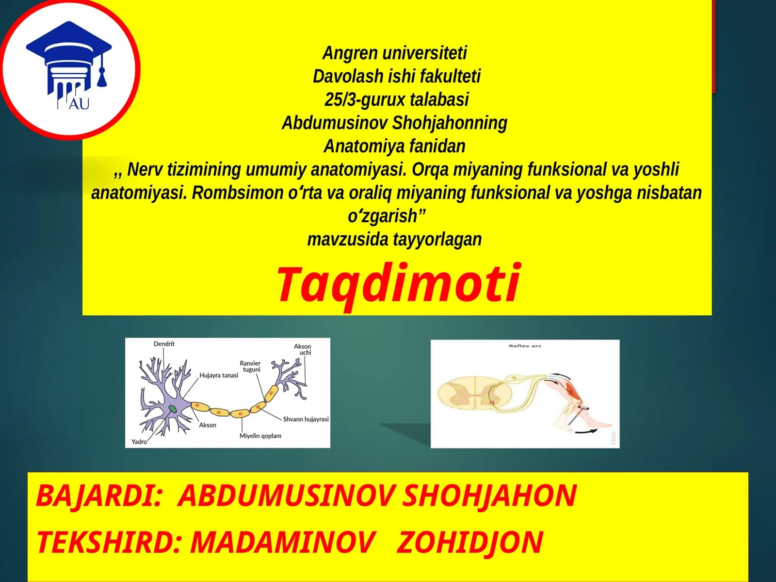 Nervtizimining umumiyanatomiyasi