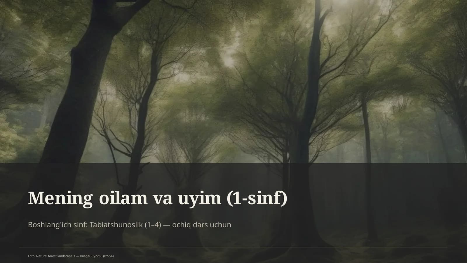 Mening oilam va uyim (1-sinf)