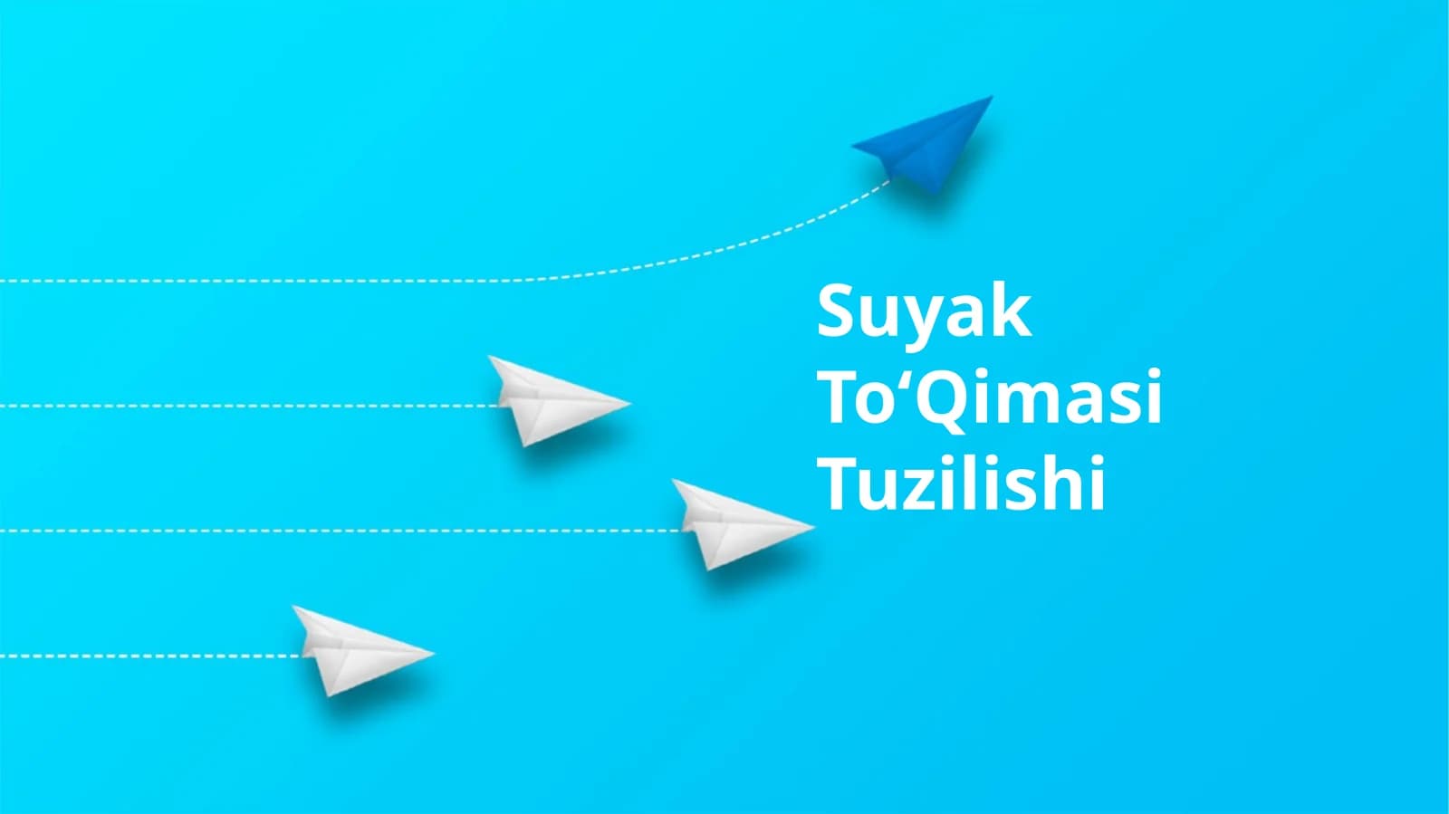 Suyak ToʻQimasi Tuzilishi