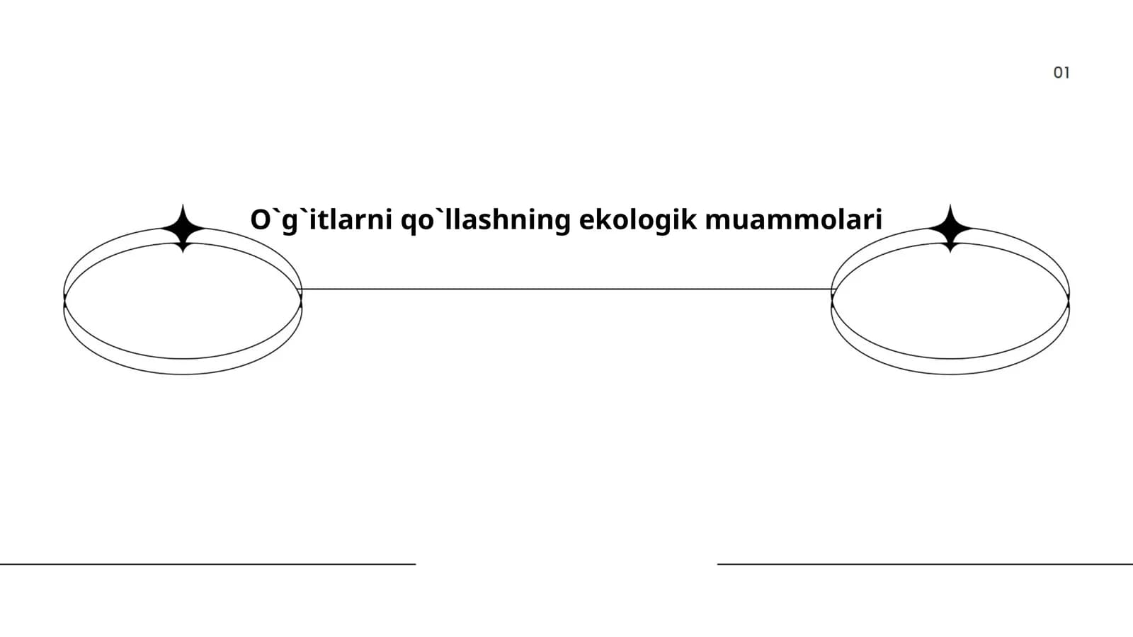 O`g`itlarni qo`llashning ekologik muammolari