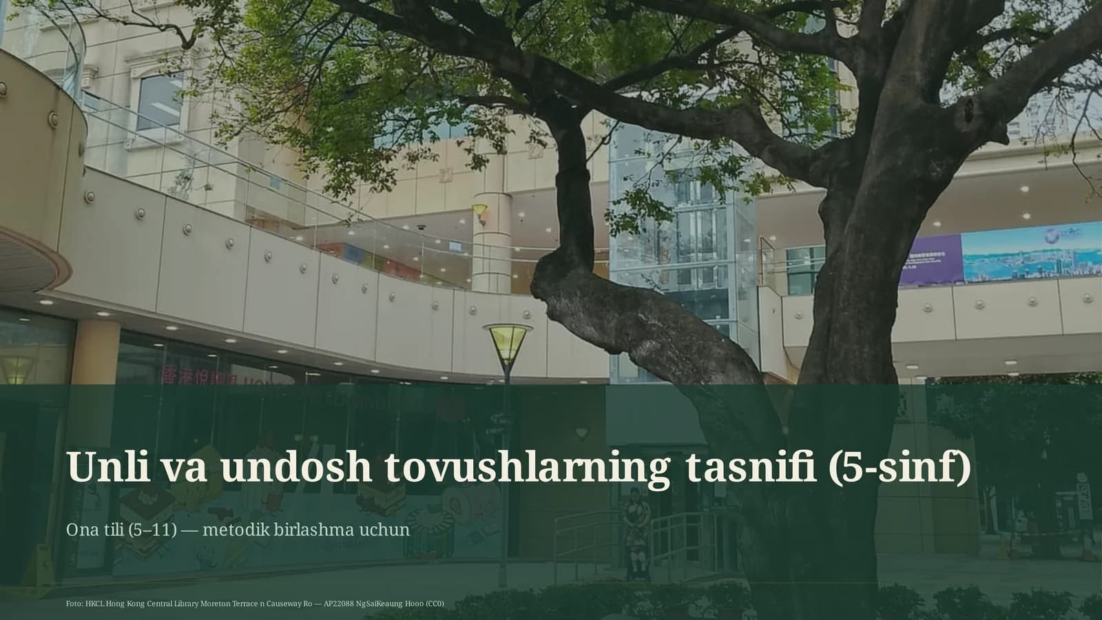 Unli va undosh tovushlarning tasnifi (5-sinf)
