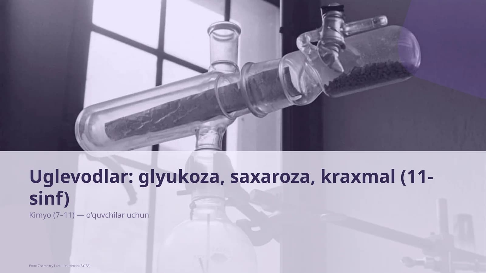 Uglevodlar: glyukoza, saxaroza, kraxmal (11-sinf)