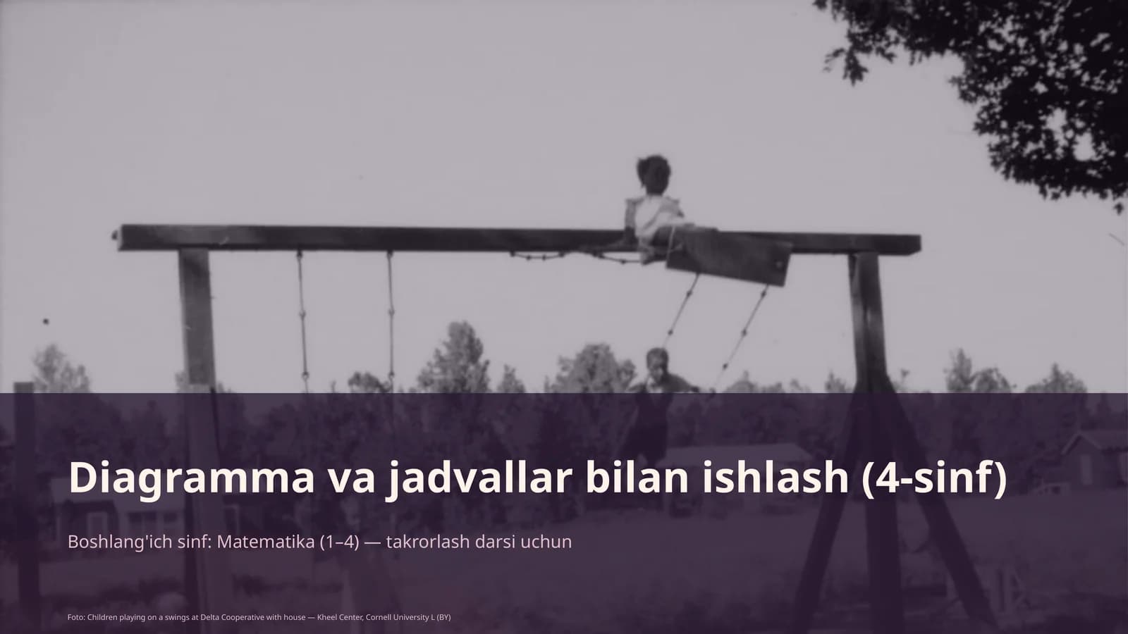 Diagramma va jadvallar bilan ishlash (4-sinf)
