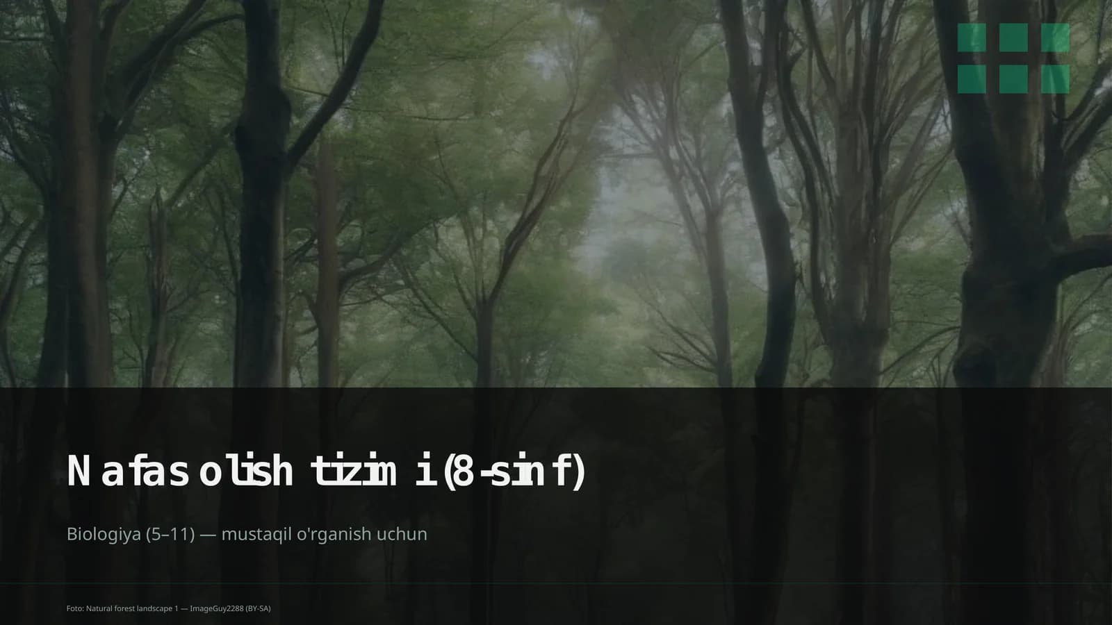 Nafas olish tizimi (8-sinf)