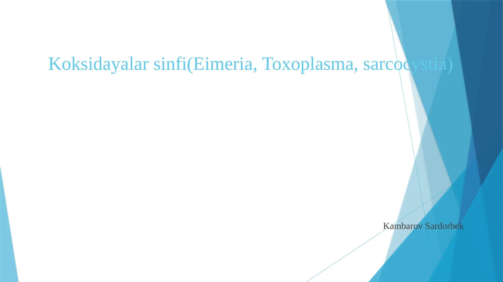 Koksidayalarsinfi(Eimeria, Toxoplasma,sarcocystia)