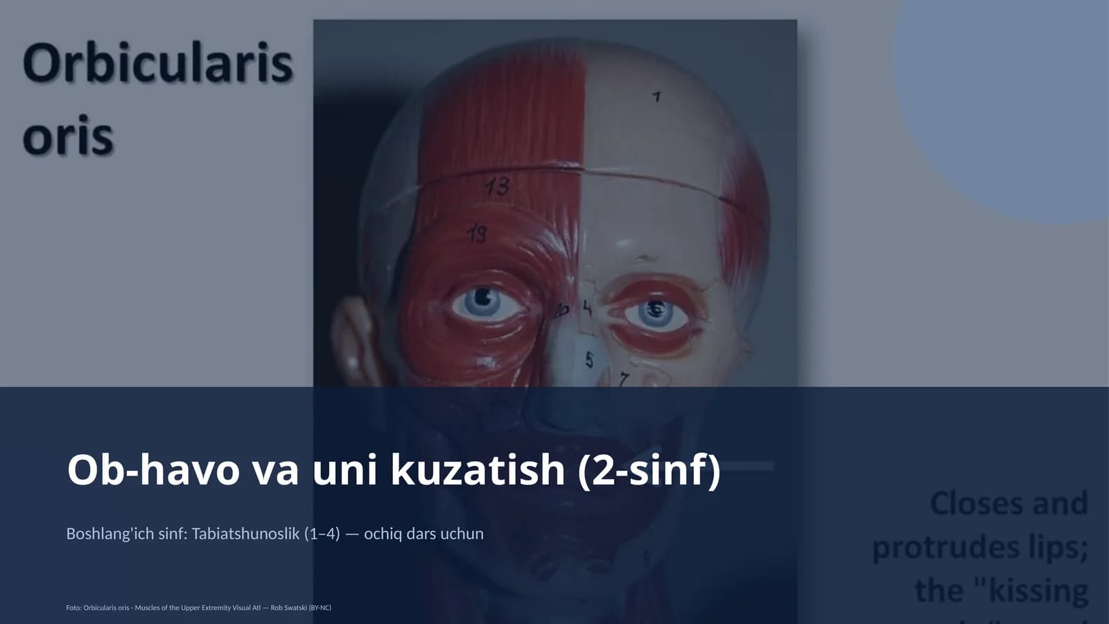Ob-havo va uni kuzatish (2-sinf)