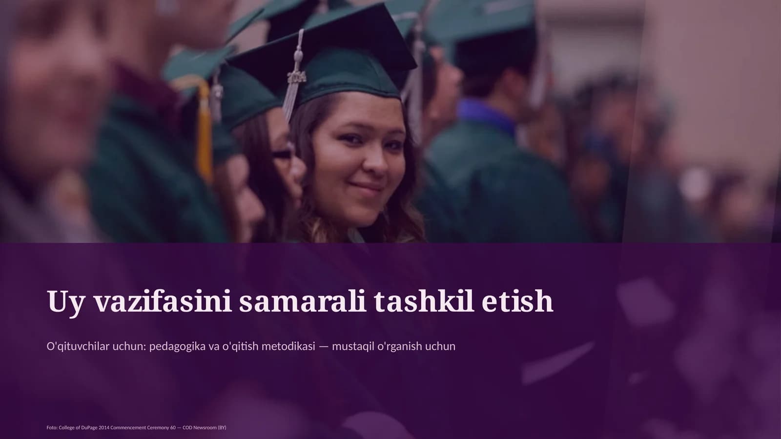 Dars rejasi