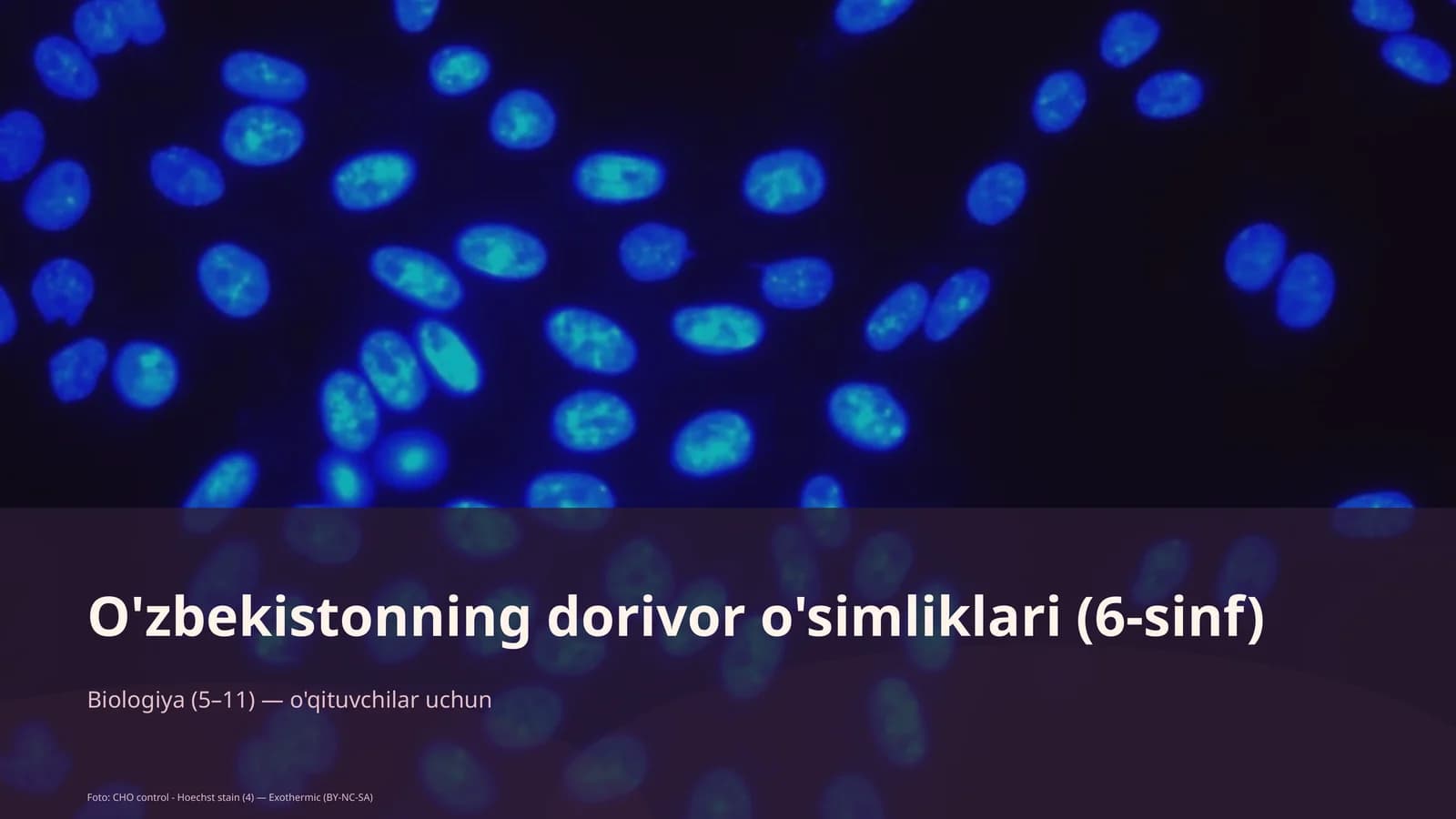 O'zbekistonning dorivor o'simliklari (6-sinf)