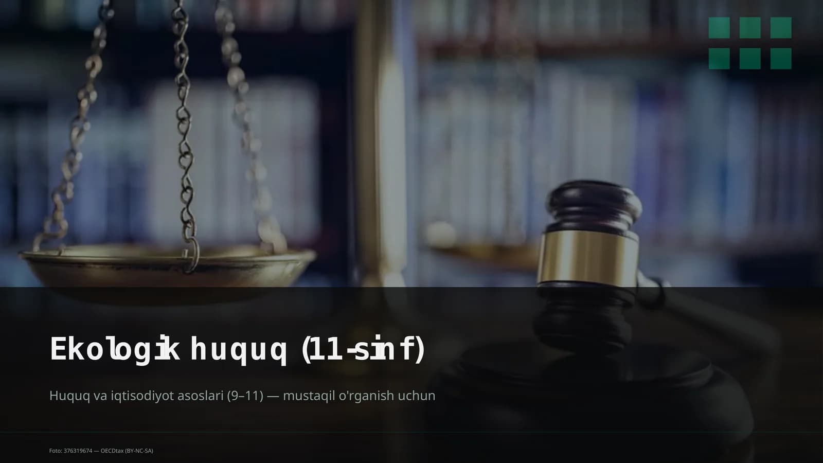 Ekologik huquq (11-sinf)