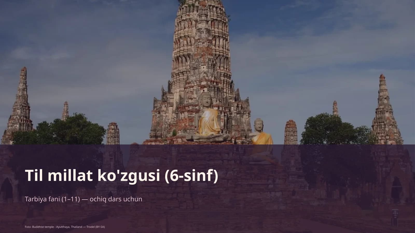 Til millat ko'zgusi (6-sinf)