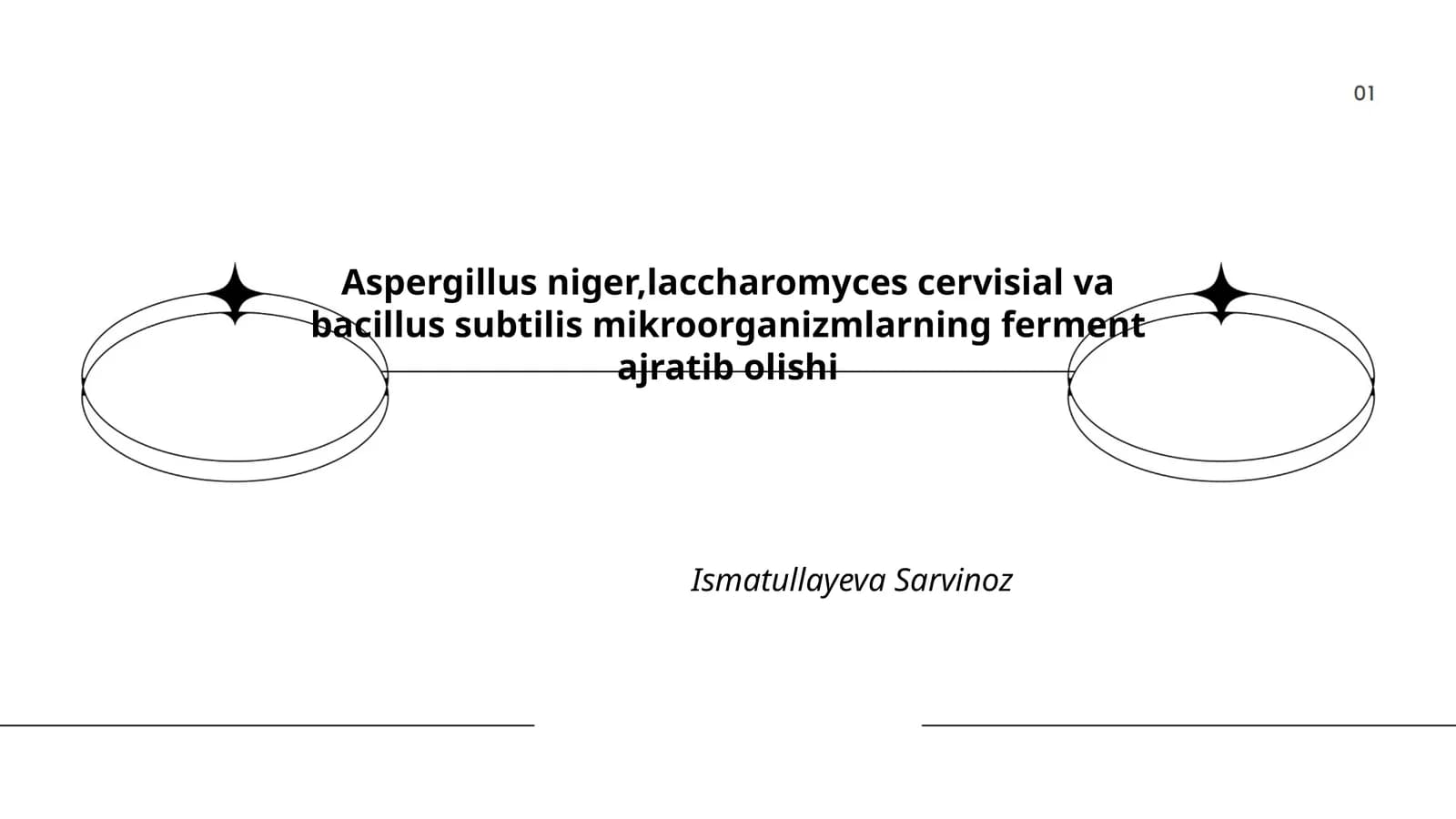 Aspergillus niger, Saccharomyces cervisial va Bacillus subtilis mikroorganizmlarning ferment ajratib olishi
