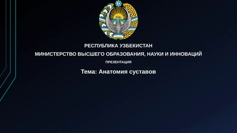 Анатомиясуставов