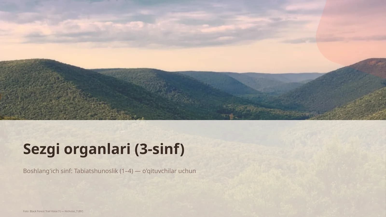Sezgi organlari (3-sinf)