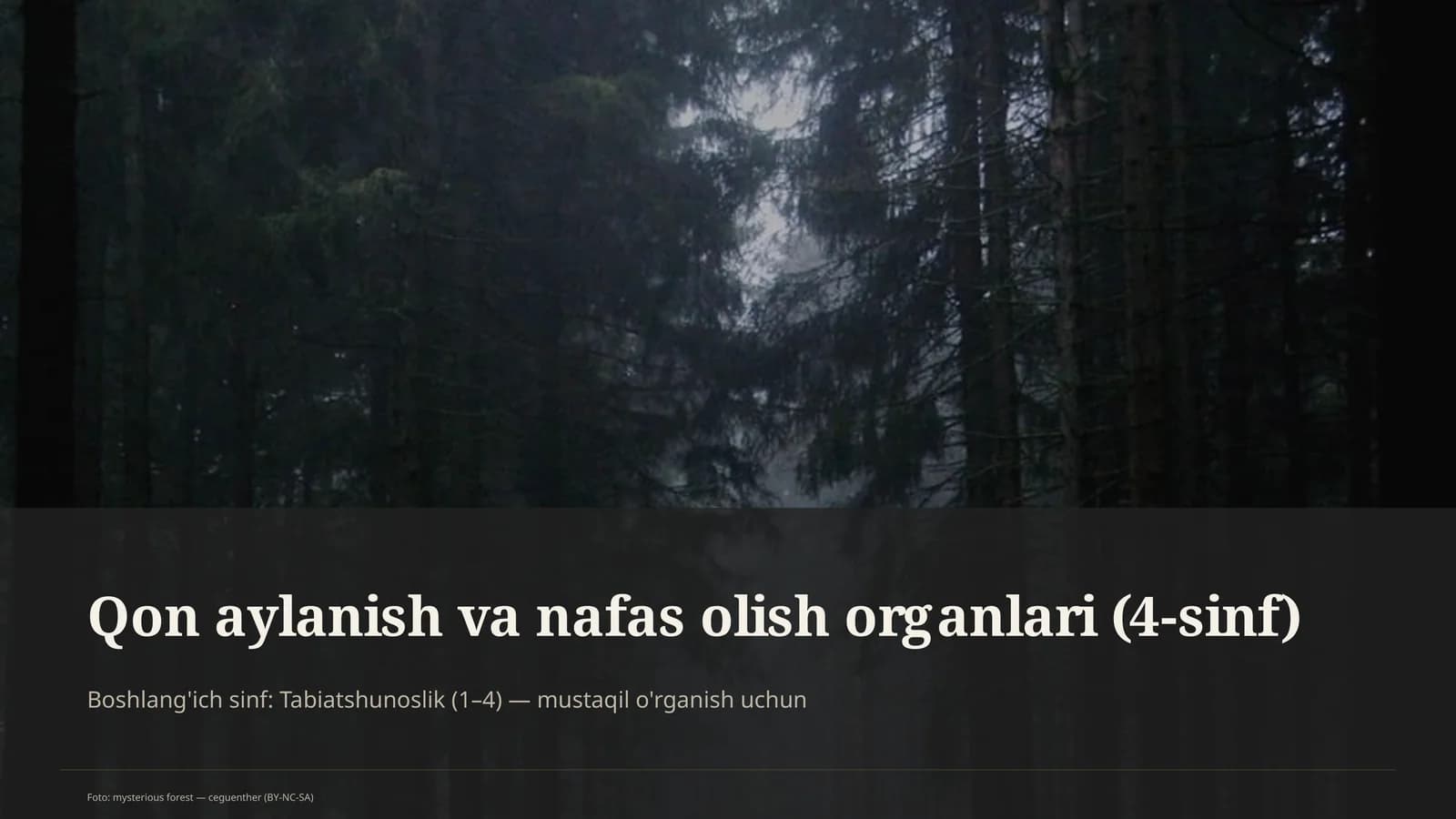 Qon aylanish va nafas olish organlari (4-sinf)