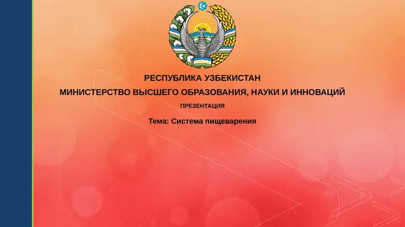 Системапищеварения