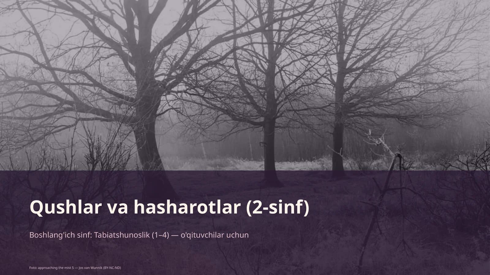 Qushlar va hasharotlar (2-sinf)