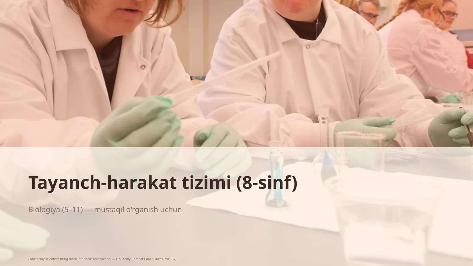 Tayanch-harakat tizimi (8-sinf)