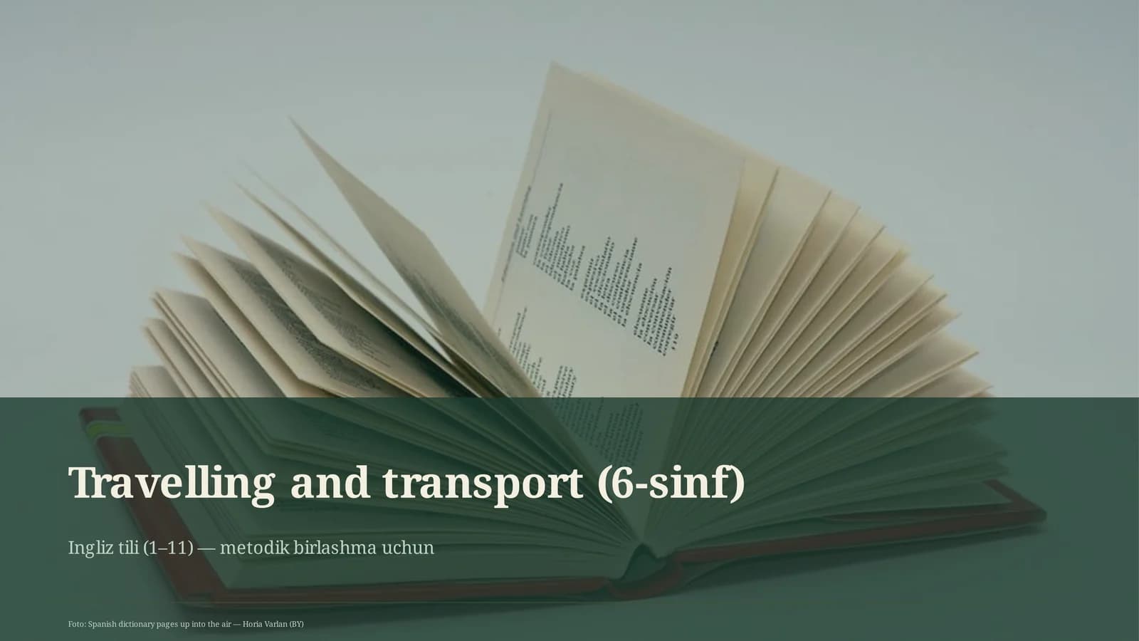 Travelling and transport (6-sinf)