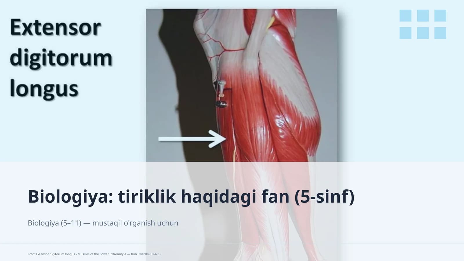 Biologiya: tiriklik haqidagi fan (5-sinf)