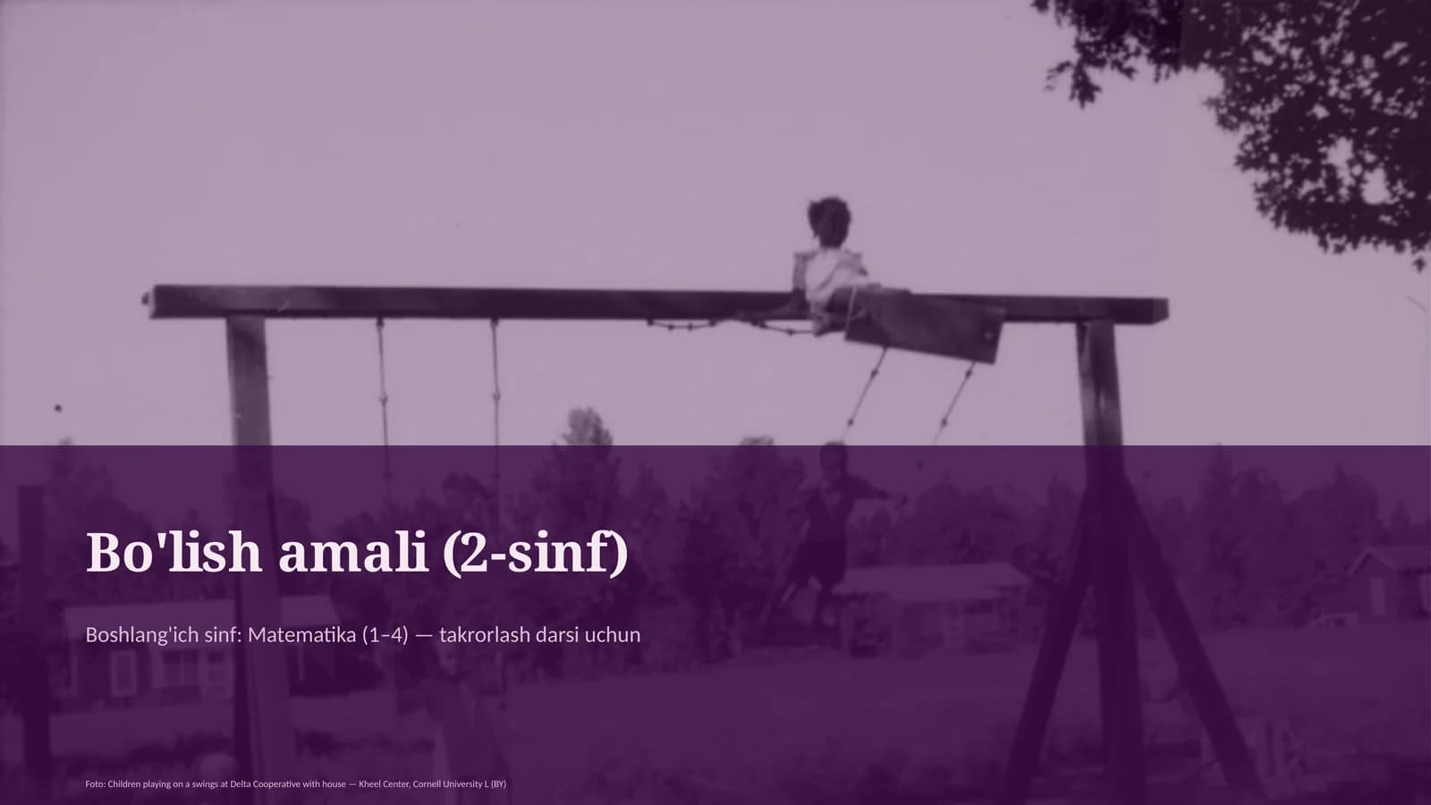 Bo'lish amali (2-sinf)