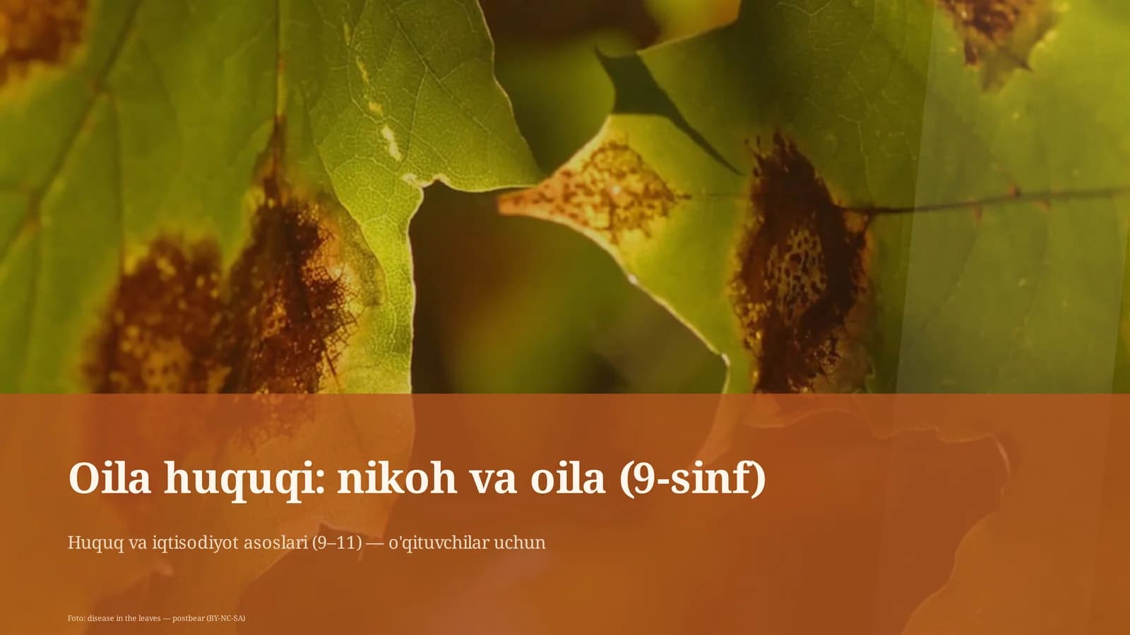 Familia huquqi: nikoh va oila (9-sinf)