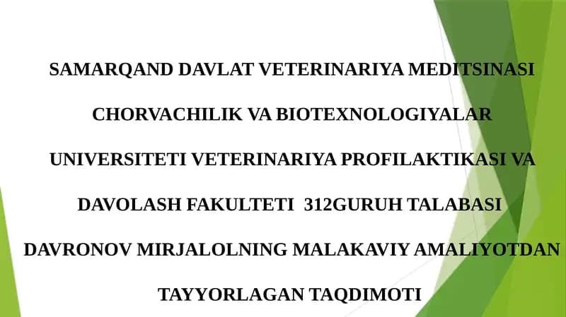 Davronov Mirjalolning Malakaviy Amaliyotdan Tayyorga Taqdimoti