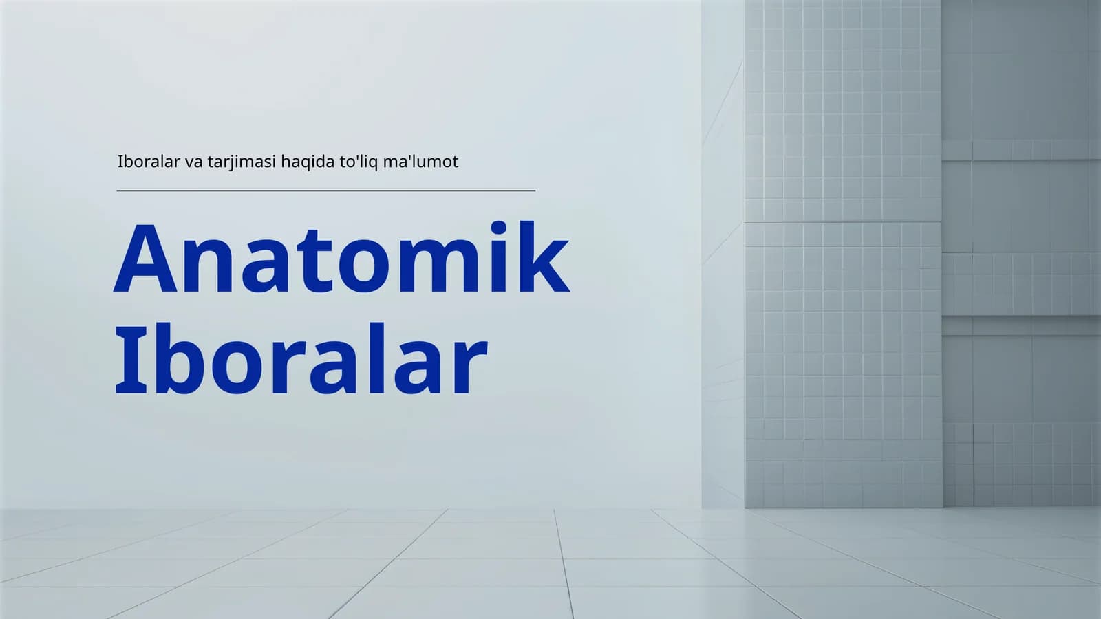 Anatomik Iboralar