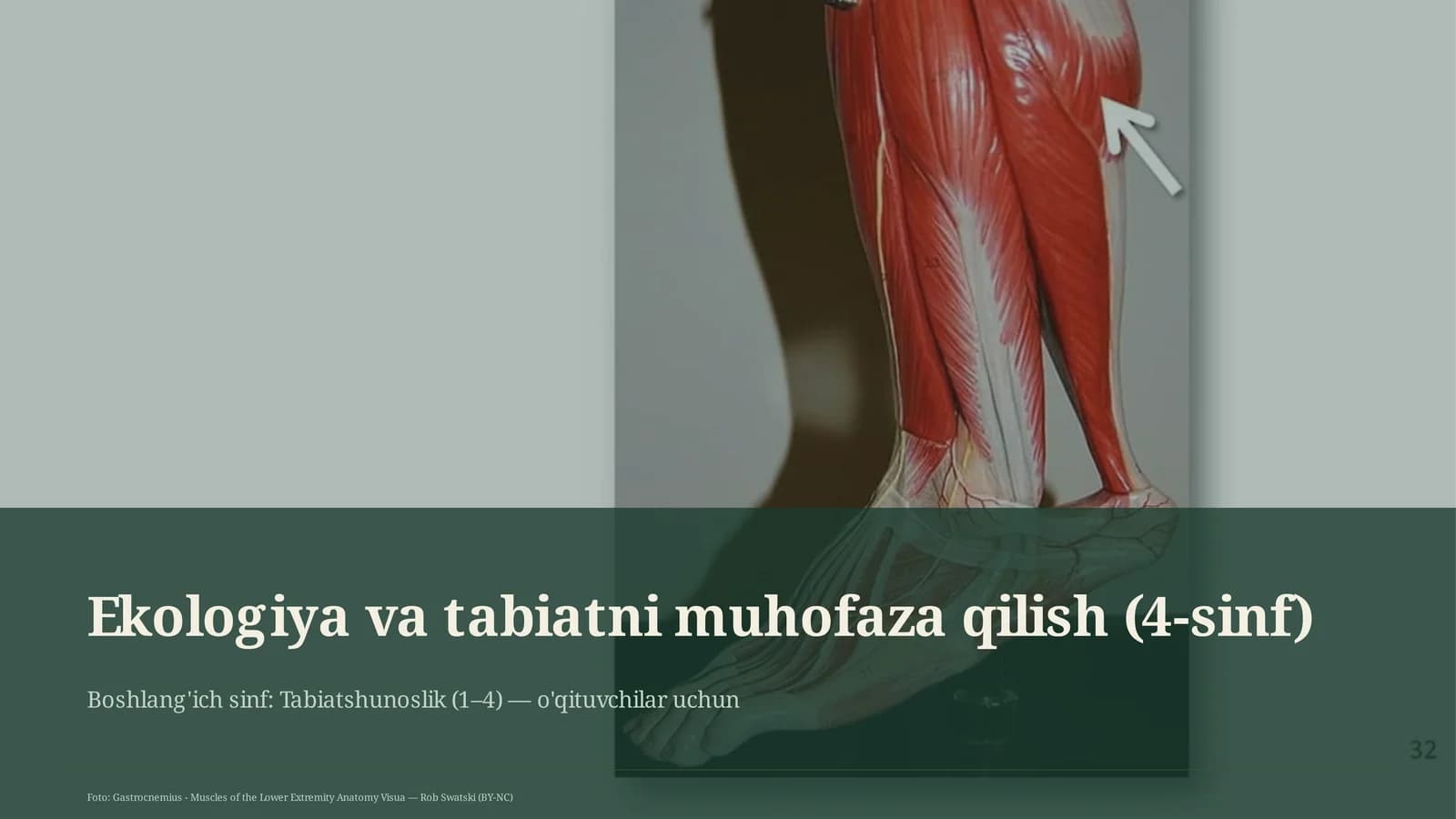 Ekologiya va tabiatni muhofaza qilish (4-sinf)