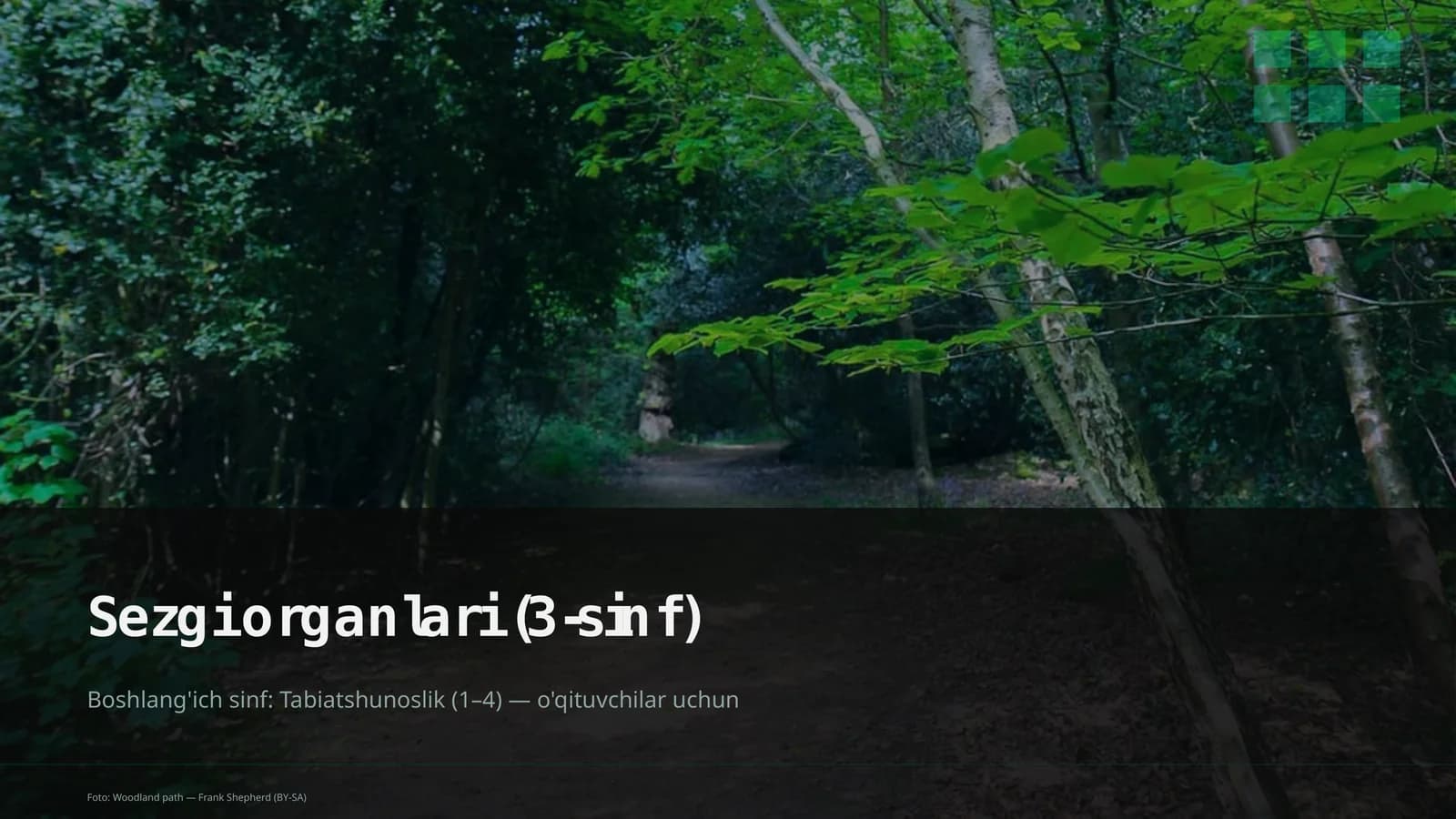 Sezgi organlari (3-sinf)