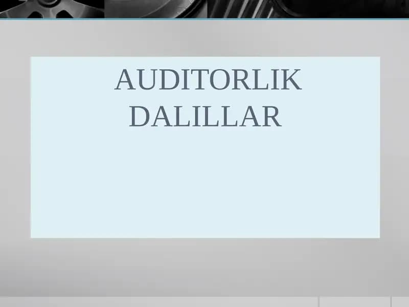 Auditorlik Dalillar