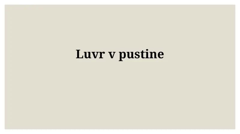 Лувр vpustine
