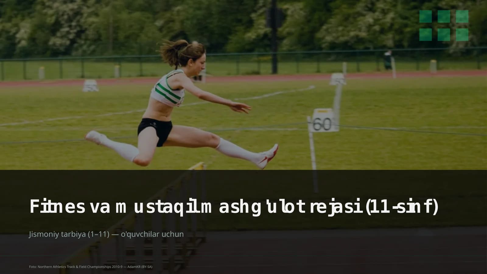 Fitnes va mustaqil mashg'ulot rejasi (11-sinf)