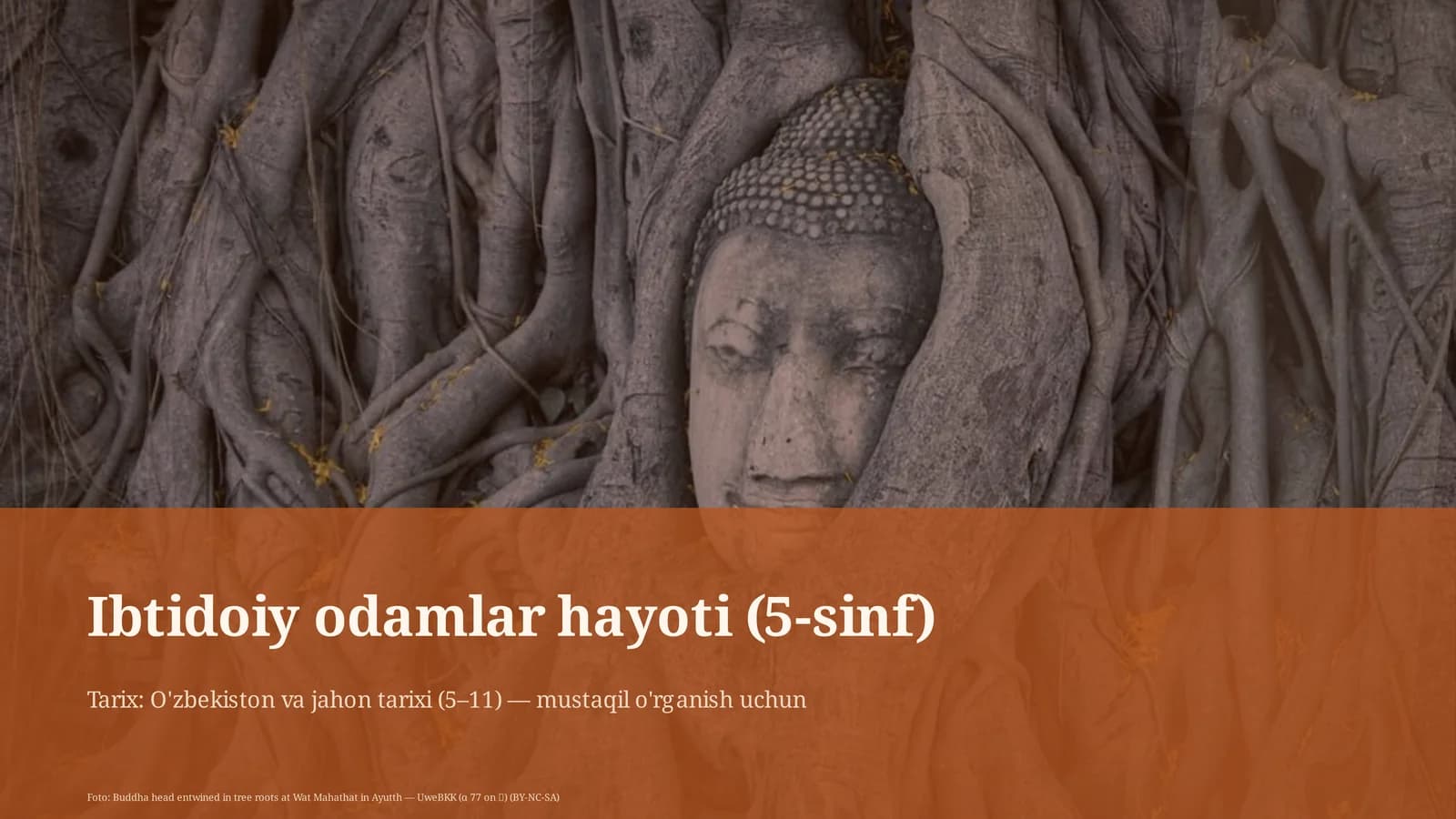 Ibtidoiy odamlar hayoti (5-sinf)