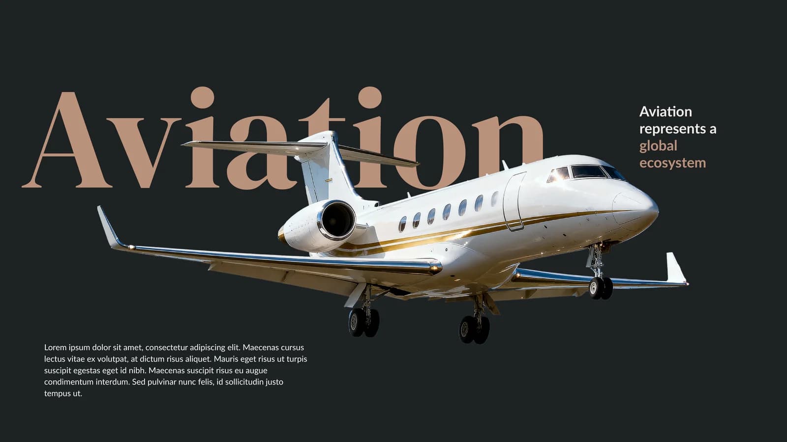Borcelle Aviation