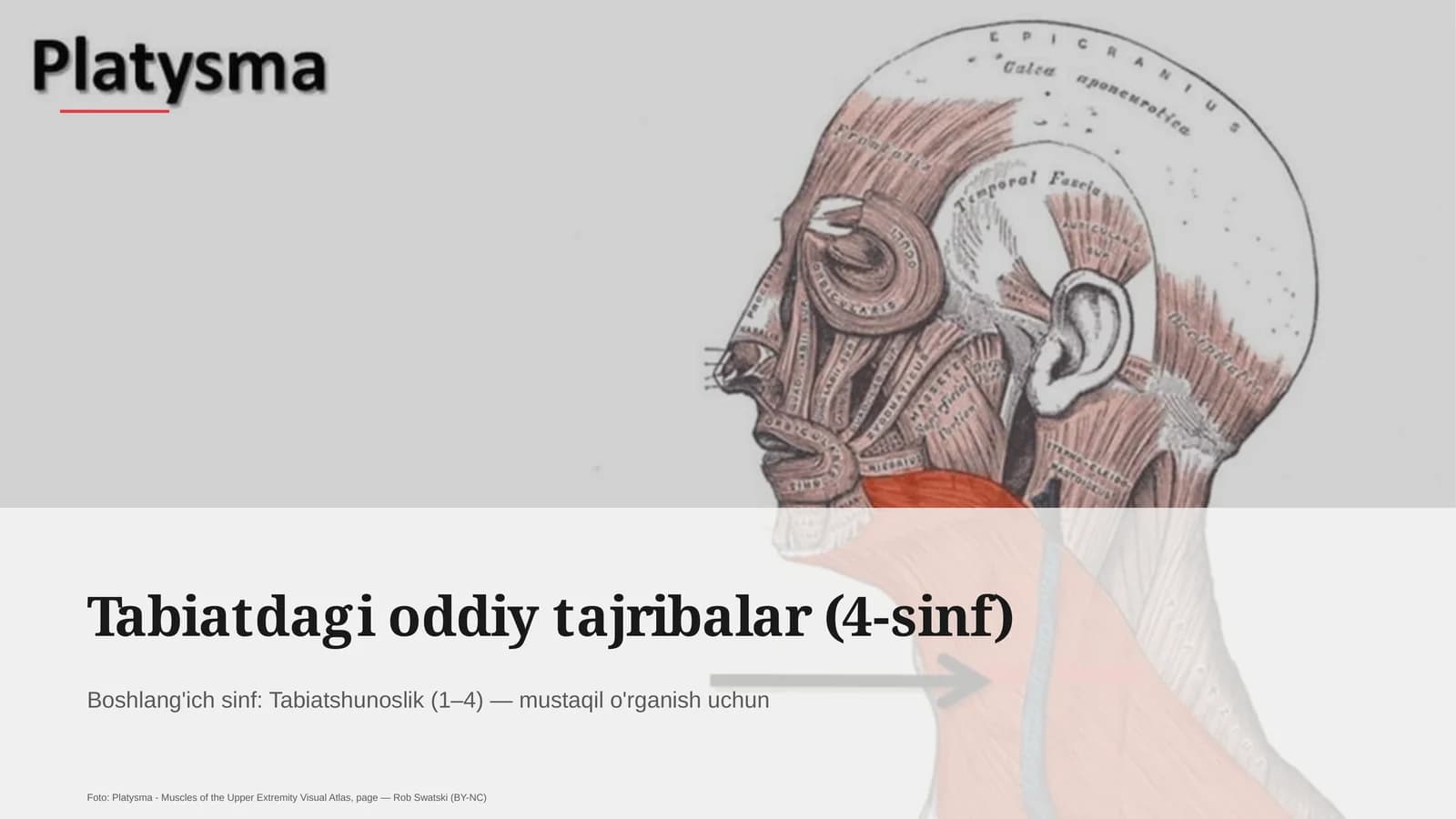 Tabiatdagi oddiy tajribalar (4-sinf)