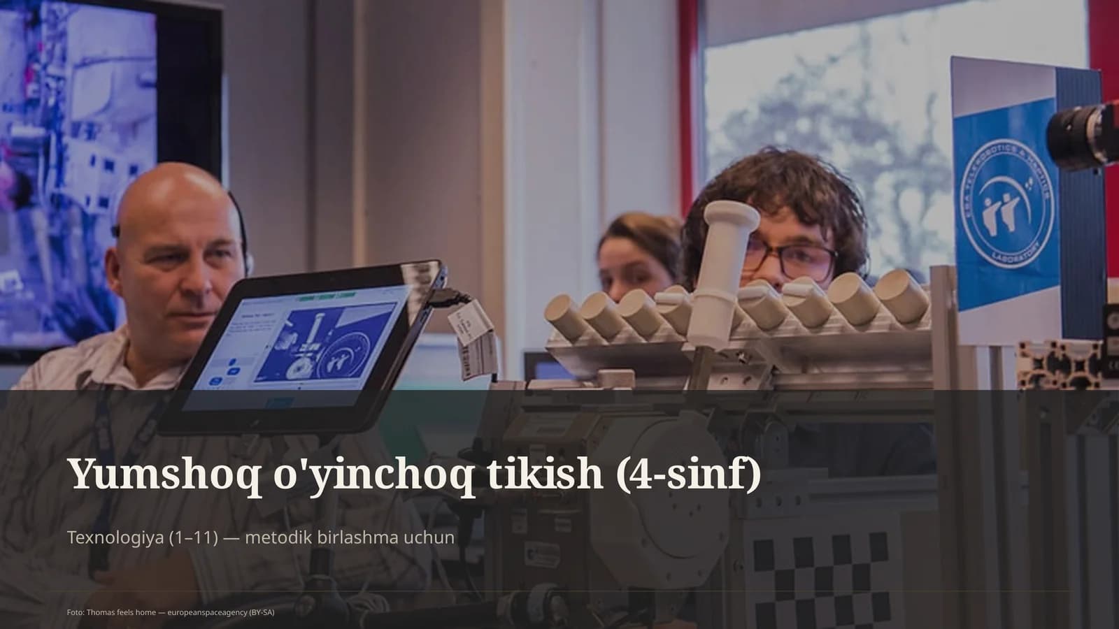 Yumshoq o'yinchoq tikish (4-sinf)
