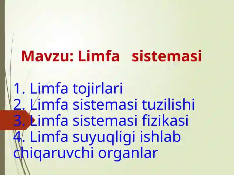 Limfa sistemasi